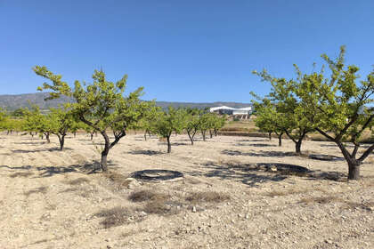 Plot for sale in Monóvar/Monòver, Alicante. 