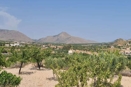 Plot for sale in Abanilla, Murcia. 