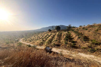 Plot for sale in Alhaurín el Grande, Málaga. 