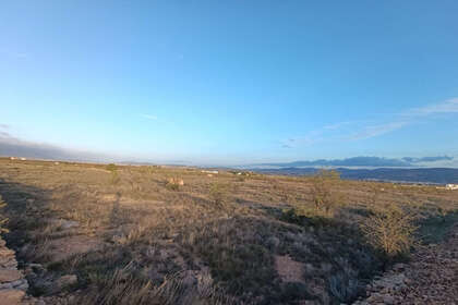 Plot for sale in Pinoso, Alicante. 