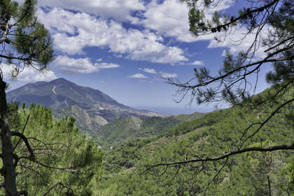 Plot for sale in Coín, Málaga. 