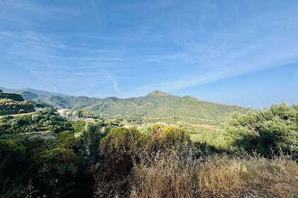 Plot for sale in Benahavís, Málaga. 