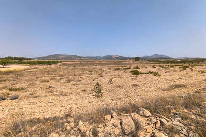 Plot for sale in Pinoso, Alicante. 