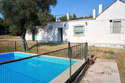 Plot for sale in Estepona, Málaga. 