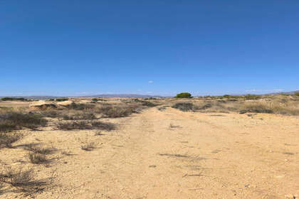 Plot for sale in Jumilla, Murcia. 