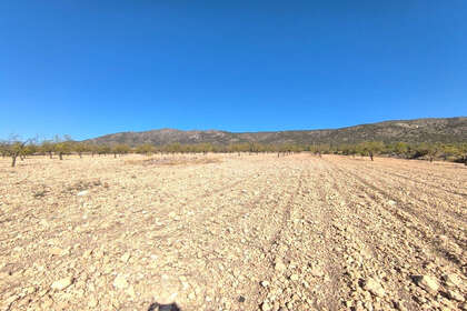 Plot for sale in Monóvar/Monòver, Alicante. 