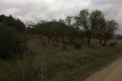 Plot for sale in Coín, Málaga. 