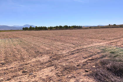 Plot for sale in Pinoso, Alicante. 