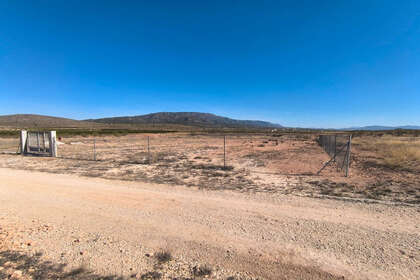 Plot for sale in Pinoso, Alicante. 