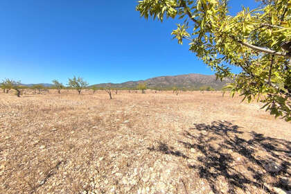 Plot for sale in Monóvar/Monòver, Alicante. 