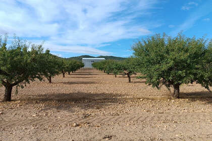 Plot for sale in Yecla, Murcia. 