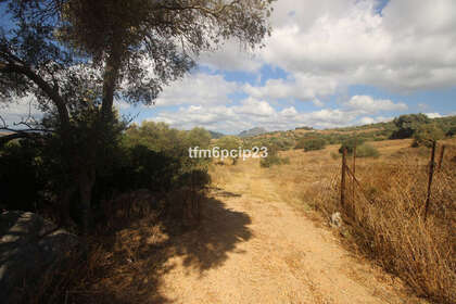 Plot for sale in Casares, Málaga. 