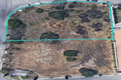 Plot for sale in Benahavís, Málaga. 