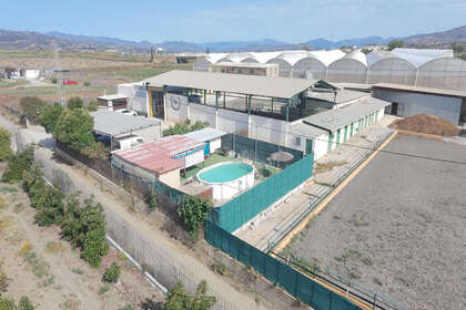 Fincas verkoop in El Tomillar, Torre del mar, Málaga. 