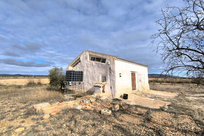 Ranch for sale in Yecla, Murcia. 