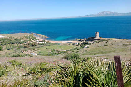 Terreno vendita in Tarifa, Cádiz. 