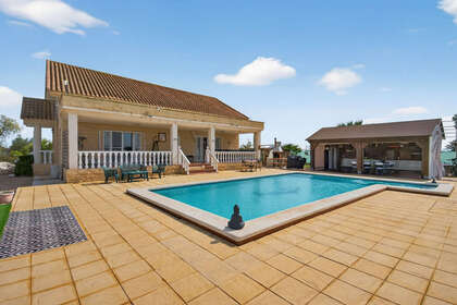 Fincas verkoop in Crevillent, Alicante. 