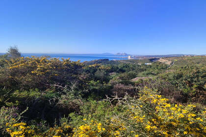 Enredo venda em San Diego, San Roque, Cádiz. 