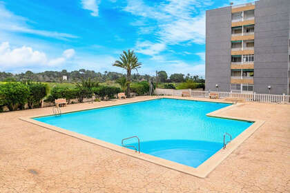 Apartment for sale in Punta Prima, Alicante. 