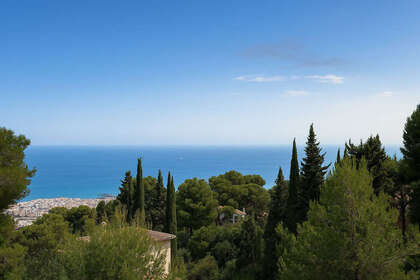 Enredo venda em Vélez-Málaga. 