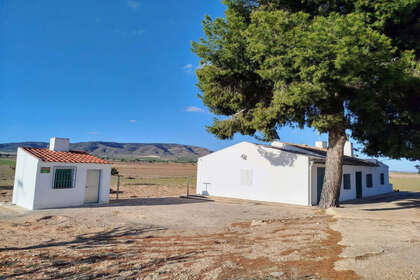 Rancho venda em Yecla, Murcia. 