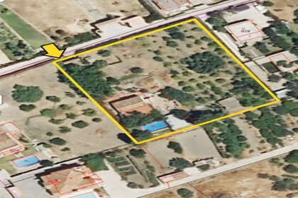 Ranch for sale in Estepona, Málaga. 