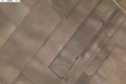 情节 出售 进入 Yecla, Murcia. 