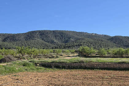 情节 出售 进入 Monóvar/Monòver, Alicante. 