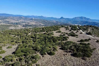 情节 出售 进入 Sotogrande, Cádiz. 