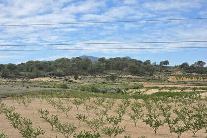 情节 出售 进入 Jumilla, Murcia. 