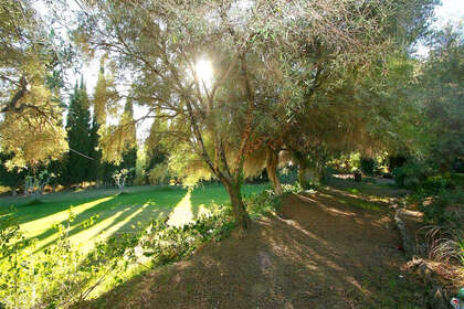 情节 出售 进入 Mijas, Málaga. 