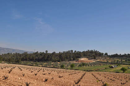 情节 出售 进入 Murcia. 