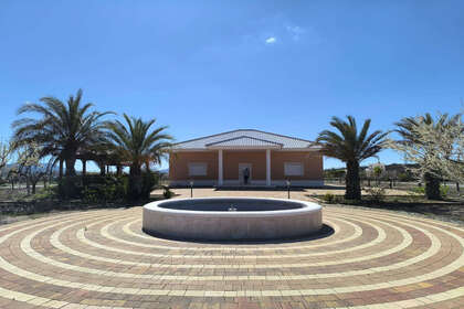 联排别墅 出售 进入 Pinoso, Alicante. 