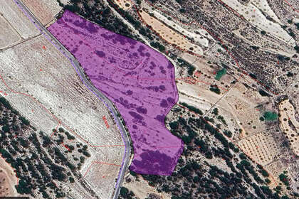 情节 出售 进入 Monóvar/Monòver, Alicante. 