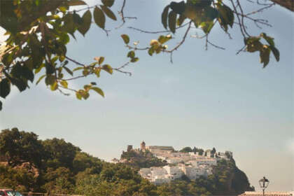 牧场 出售 进入 Casares, Málaga. 