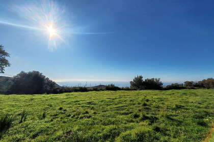 情节 出售 进入 Marbella, Málaga. 