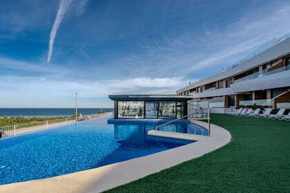 耳房 出售 进入 Alicante/Alacant. 