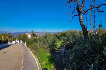 情节 出售 进入 Alhaurín el Grande, Málaga. 