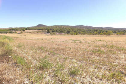 情节 出售 进入 Monóvar/Monòver, Alicante. 