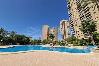 酒店公寓 出售 进入 Benidorm, Alicante. 