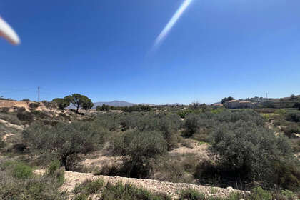 情节 出售 进入 Monóvar/Monòver, Alicante. 