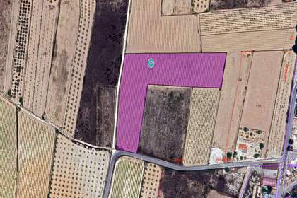 情节 出售 进入 Pinoso, Alicante. 