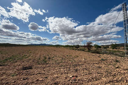 情节 出售 进入 Pinoso, Alicante. 