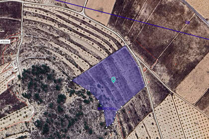 情节 出售 进入 Murcia. 