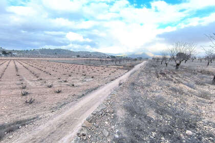 情节 出售 进入 Alicante. 