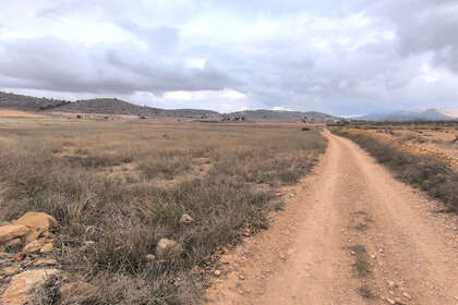 情节 出售 进入 Alicante. 