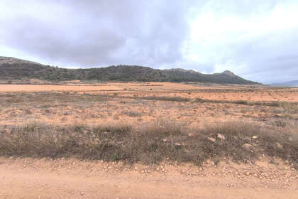 情节 出售 进入 Alicante. 