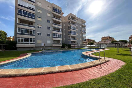 房子 出售 进入 Torrevieja, Alicante. 