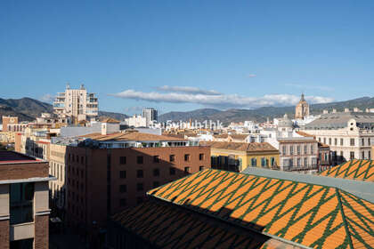 酒店公寓 出售 进入 Málaga. 
