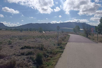 情节 出售 进入 Salinas, Alicante. 